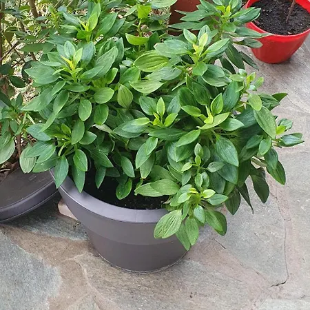 Hephaestus Appartments A3 *