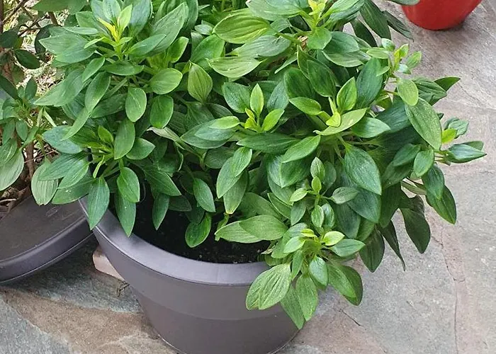 Hephaestus Appartments A3 *